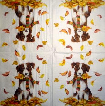 HUN-506 Dogs - 3-ply - Ihr